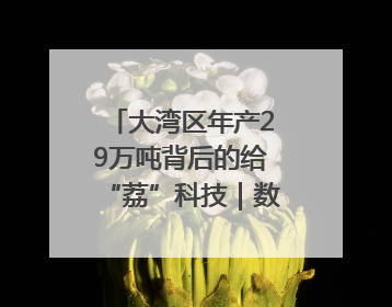 大湾区年产29万吨背后的给“荔”科技｜数说大湾区